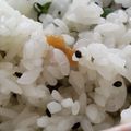あゆたっくん's cooksnap of when they made 梅と大葉おにぎり.