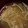 ヨシヨッシー's cooksnap of when they made とろ〜り【オクラとえのきの味噌汁】.