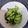 クック3N0VKO☆'s cooksnap of when they made 簡単きゅうりの塩漬け.