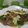 mielle's cooksnap of when they made ざっくりキャベツと豚肉の味噌炒め★回鍋肉.