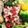 クックPJJ4LQ☆'s cooksnap of when they made 夏のおかずサラダ♪冷しゃぶ風牛肉のマリネ.