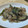 4児のパパ's cooksnap of when they made 茄子とピーマンの肉味噌炒め.
