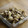 ガメコ's cooksnap of when they made 豚肉とエリンギのオイスター炒め.