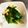 のえもゆ's cooksnap of when they made 小松菜と揚げの煮物.