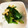 のえもゆ's cooksnap of when they made 小松菜と揚げの煮物.