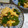 か～ぽ☆'s cooksnap of when they made ピーマンの中華炒め.