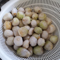 マメ山マメ太's cooksnap of when they made 小芋の皮の簡単なむき方.