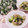 クックHG9V8Y☆'s cooksnap of when they made 簡単☆シメサバときゅうりの酢の物.