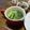 まなポコ's cooksnap of when they made 【農家のレシピ】小松菜のシンプルスープ.