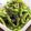 クックG1CG0C☆'s cooksnap of when they made 大量消費！苦くない簡単ゴーヤの塩昆布和え.