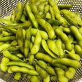 〇みよ〇's cooksnap of when they made 枝豆農家直伝！美味しい枝豆の茹で方.