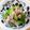 もにゃっこ's cooksnap of when they made スナップえんどうとベーコンのにんにく炒め.