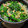 ｸﾏﾘｴ's cooksnap of when they made つるむらさきのみそ汁.