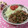toraちゃん♪'s cooksnap of when they made ＊豚肉のマヨ生姜焼き＊.