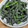 トコタン's cooksnap of when they made いんげんの胡麻和え.