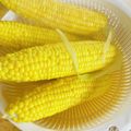 ボブナナ's cooksnap of when they made とうもろこしのベストな茹で方.