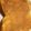 クックK0EAD7☆'s cooksnap of when they made 低タンパク/ごまきなこトースト.