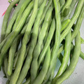 ネギがお好き's cooksnap of when they made いんげんの基本のゆで方.