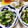 みっちゃん❇️68's cooksnap of when they made オクラともずくの黒酢あえ.