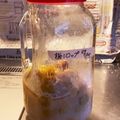まろんまろん0303's cooksnap of when they made 自家製梅シロップ(冷凍梅).