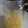 にゃんがす's cooksnap of when they made 待ち遠しいシリーズ、レモン酒.