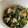 dollyj's cooksnap of when they made ✿ほうれん草と挽肉のねぎオイスター炒め✿.