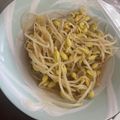 ホワイトちょこ's cooksnap of when they made さっぱりもやしの酢ナムル.