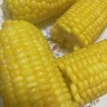 ﾌﾞﾚﾝﾀﾞ's cooksnap of when they made 甘い！農場直伝！とうもろこしの茹で方.