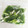 ぱふ♪'s cooksnap of when they made いろいろ冷凍保存♪.