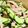 クック88IXWX☆'s cooksnap of when they made もやしときゅうりの中華サラダ.