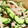 クック88IXWX☆'s cooksnap of when they made もやしときゅうりの中華サラダ.
