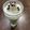 240915's cooksnap of when they made 美味濃厚★抹茶フラペチーノ.
