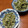 カナリアイエロー's cooksnap of when they made きり昆布の辛子マヨネーズ和え♪.