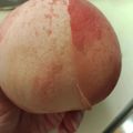 のりこったん's cooksnap of when they made 手でむけちゃう桃の皮.
