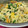 ゆっきん♪'s cooksnap of when they made 切干大根とツナの中華風あえもの.
