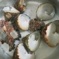 ﾀﾉ吉's cooksnap of when they made 簡単 しったか貝（ニナ貝）の塩茹で.