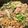 あり太郎☆'s cooksnap of when they made 水菜焼きそば　賛否両論レシピやってみた.