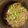 inLondon's cooksnap of when they made 鯖缶と糸こんにゃくの甘辛ガーリック炒め.