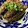 ☆さぶ☆☆'s cooksnap of when they made 簡単！ご飯がすすむ！茄子と豚肉の生姜煮.