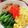 milk55's cooksnap of when they made ツナそぼろの三色丼.