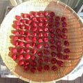 mo☆96's cooksnap of when they made ぽんぽん食堂～梅干しの作り方～.