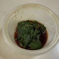 papikun's cooksnap of when they made やみつき大葉のゴマ醤油漬け.