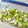 azbjbn's cooksnap of when they made 冷凍セロリ＊生のまま冷凍保存で長持ち.