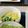 料理上達中's cooksnap of when they made ✿小松菜とコーンの胡麻和え✿.
