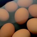 MULA's cooksnap of when they made エコな卵のゆで方.