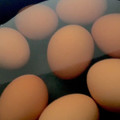 MULA's cooksnap of when they made エコな卵のゆで方.
