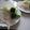 きらり流れ星's cooksnap of when they made ＊余熱で目玉焼き＊.