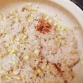slothぱんだ's cooksnap of when they made シンプルなとうもろこしごはん.
