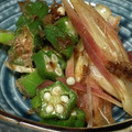 yummy?'s cooksnap of when they made オクラとみょうがのおかか和え.