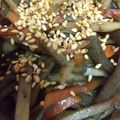happykote's cooksnap of when they made きんぴらごぼう.